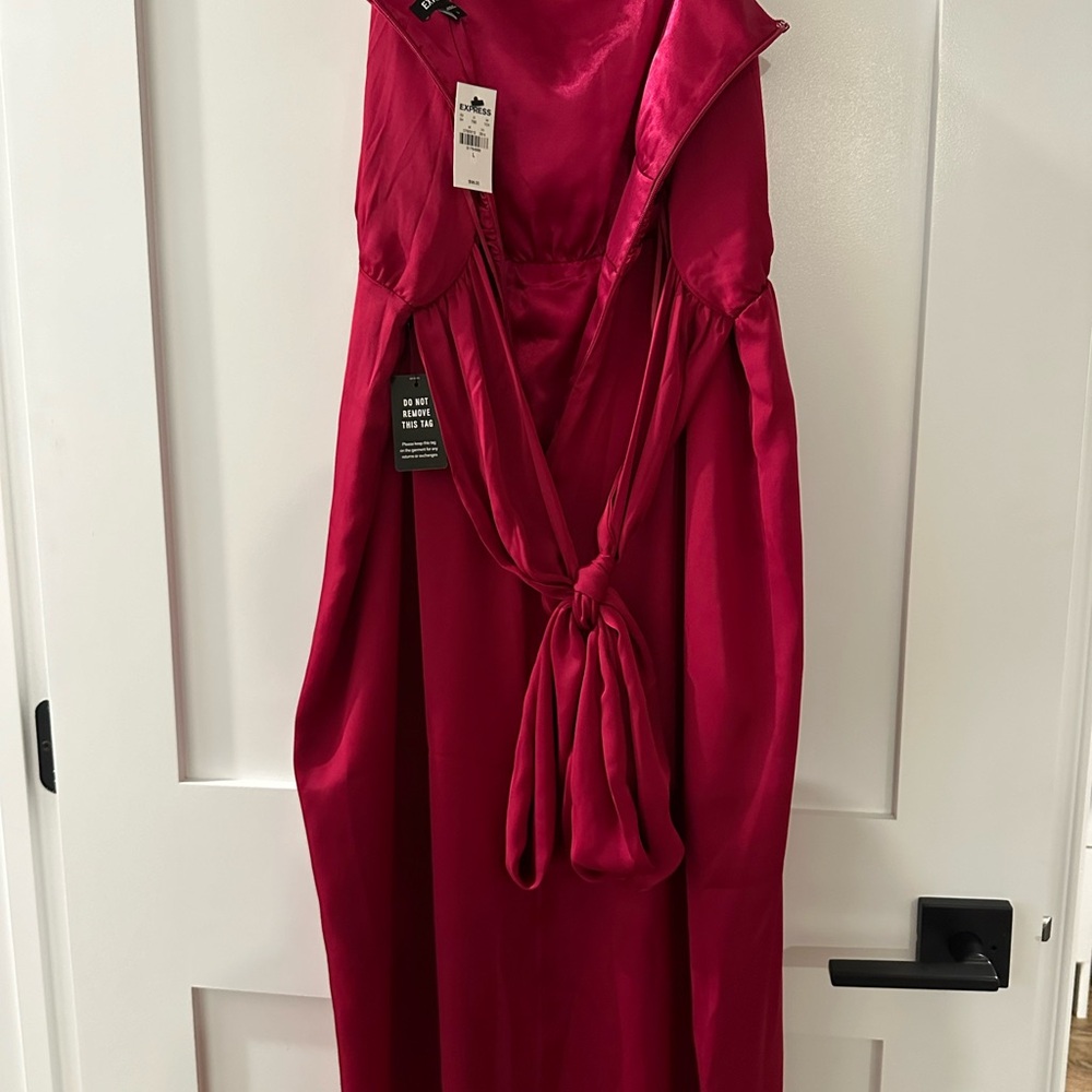 Express Dress - Picture 4 of 4